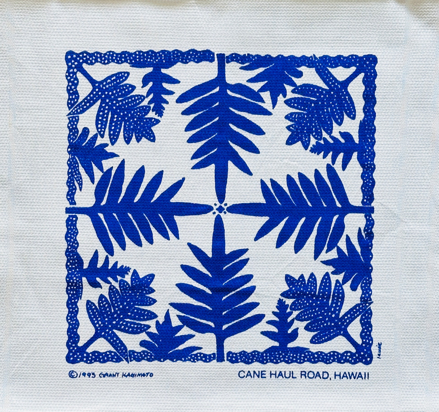 Cane Haul Road Dish Towel